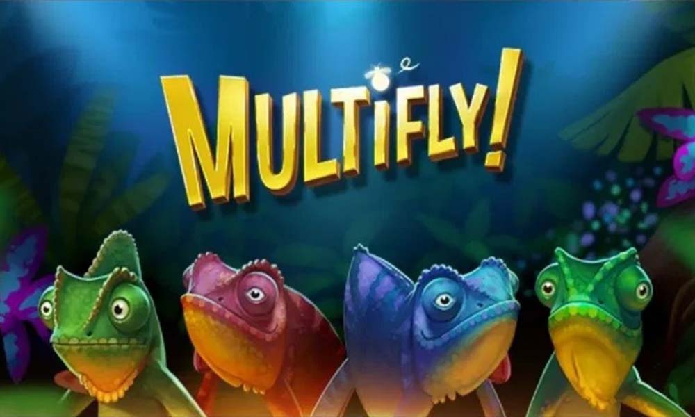 MultiFly